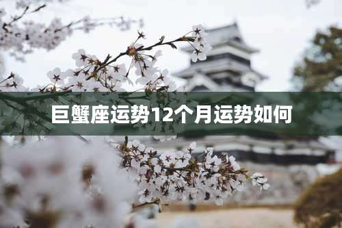 巨蟹座运势12个月运势如何