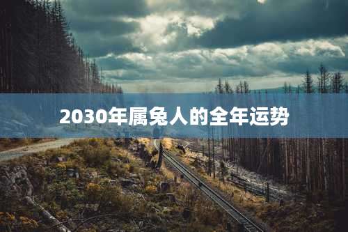 2030年属兔人的全年运势