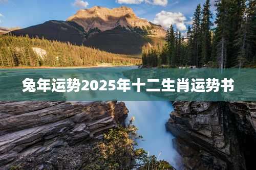 兔年运势2025年十二生肖运势书