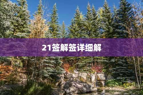 21签解签详细解