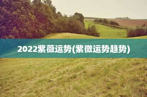 2022紫薇运势(紫微运势趋势)