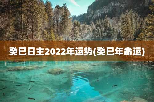 癸巳日主2022年运势(癸巳年命运)