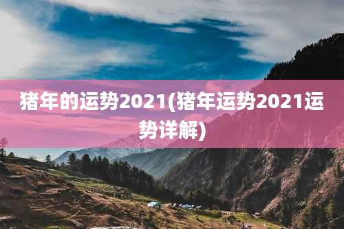 猪年的运势2021(猪年运势2021运势详解)