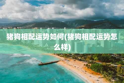 猪狗相配运势如何(猪狗相配运势怎么样)