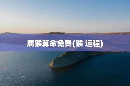 属猴算命免费(猴 运程)