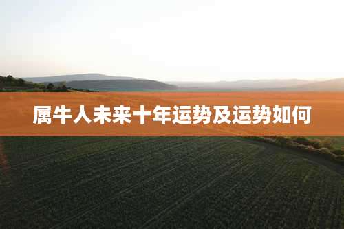 属牛人未来十年运势及运势如何