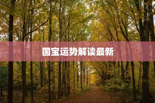 国宝运势解读最新