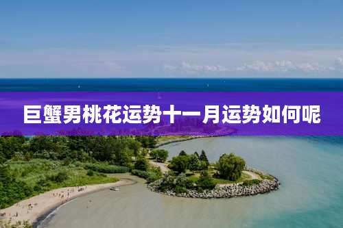 巨蟹男桃花运势十一月运势如何呢