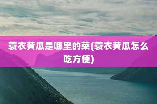 蓑衣黄瓜是哪里的菜(蓑衣黄瓜怎么吃方便)