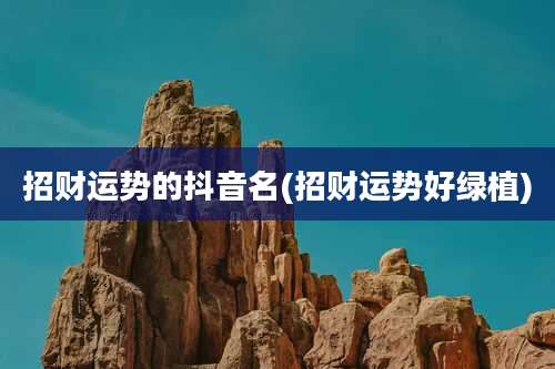 招财运势的抖音名(招财运势好绿植)