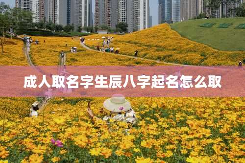 成人取名字生辰八字起名怎么取