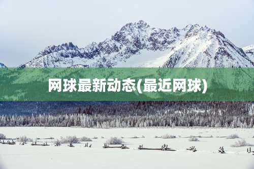 网球最新动态(最近网球)