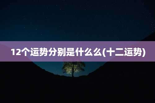 12个运势分别是什么么(十二运势)