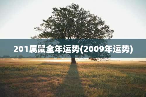 201属鼠全年运势(2009年运势)