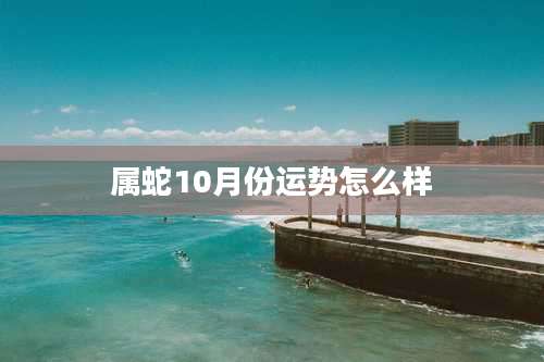 属蛇10月份运势怎么样