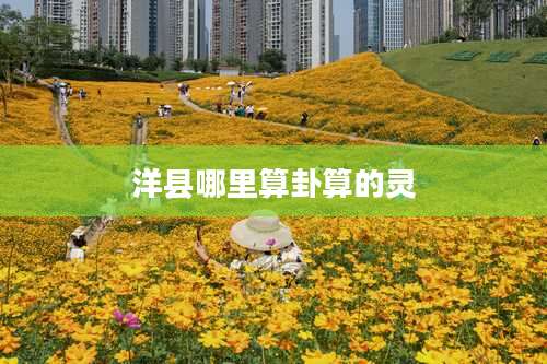 洋县哪里算卦算的灵