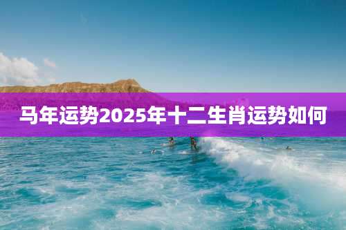 马年运势2025年十二生肖运势如何