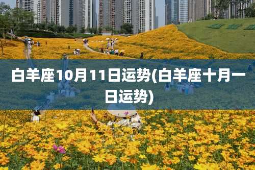 白羊座10月11日运势(白羊座十月一日运势)