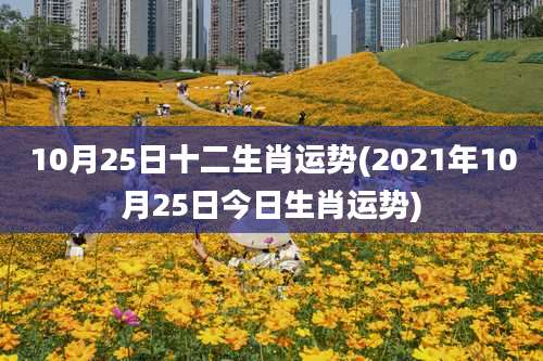 10月25日十二生肖运势(2021年10月25日今日生肖运势)