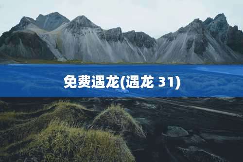 免费遇龙(遇龙 31)