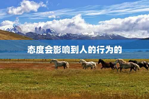 态度会影响到人的行为的