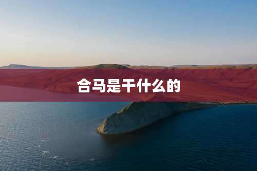 合马是干什么的