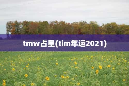 tmw占星(tim年运2021)