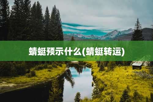 蜻蜓预示什么(蜻蜓转运)
