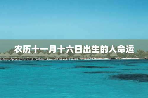 农历十一月十六日出生的人命运