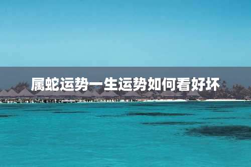 属蛇运势一生运势如何看好坏