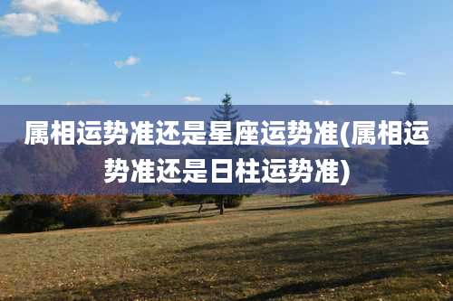 属相运势准还是星座运势准(属相运势准还是日柱运势准)