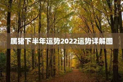 属猪下半年运势2022运势详解图