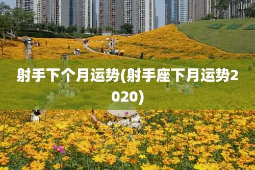 射手下个月运势(射手座下月运势2020)