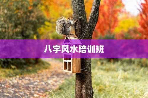 八字风水培训班