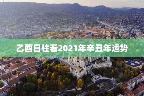 乙酉日柱看2021年辛丑年运势