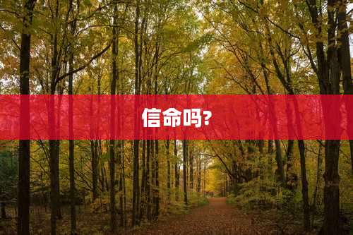 信命吗?
