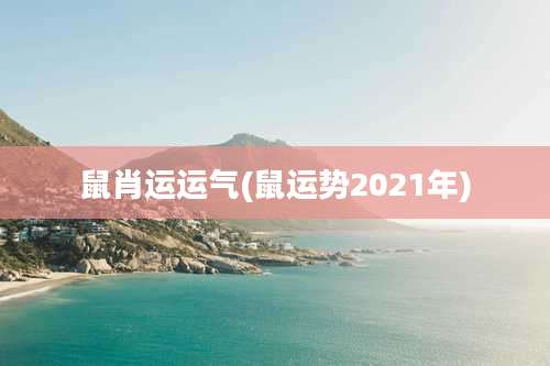 鼠肖运运气(鼠运势2021年)