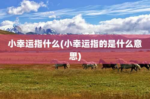 小幸运指什么(小幸运指的是什么意思)