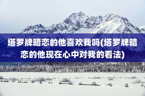 塔罗牌暗恋的他喜欢我吗(塔罗牌暗恋的他现在心中对我的看法)