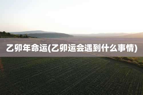 乙卯年命运(乙卯运会遇到什么事情)