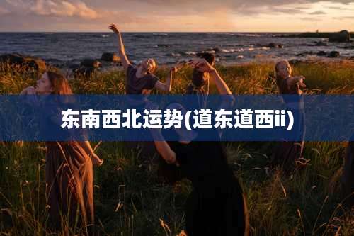 东南西北运势(道东道西ii)