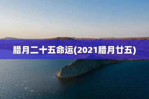 腊月二十五命运(2021腊月廿五)