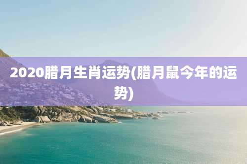 2020腊月生肖运势(腊月鼠今年的运势)