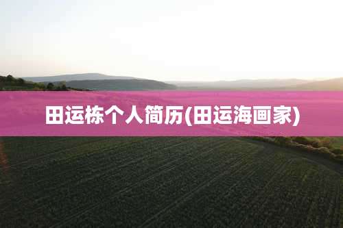 田运栋个人简历(田运海画家)