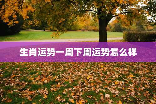 生肖运势一周下周运势怎么样