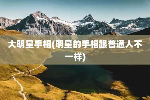大明星手相(明星的手相跟普通人不一样)