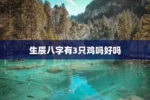 生辰八字有3只鸡吗好吗