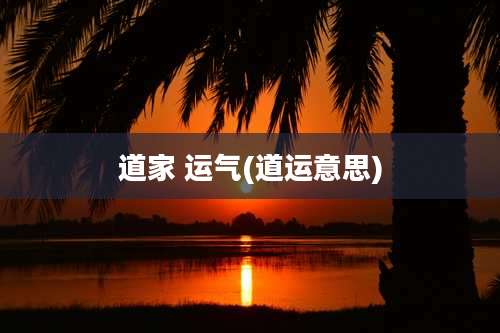 道家 运气(道运意思)