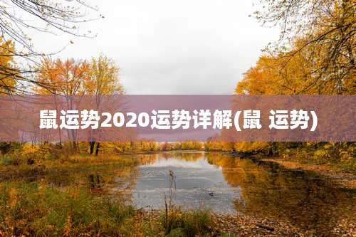 鼠运势2020运势详解(鼠 运势)