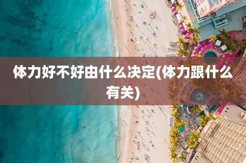 体力好不好由什么决定(体力跟什么有关)